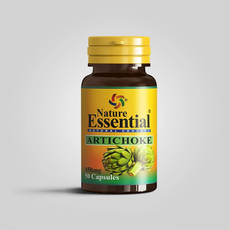 Artichoke (Артичока)